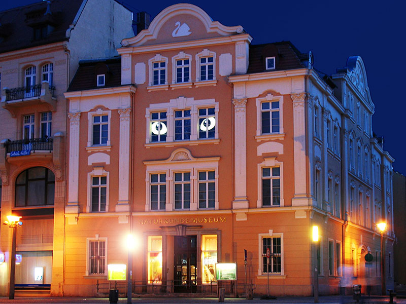 Senckenberg Museum für Naturkunde Görlitz